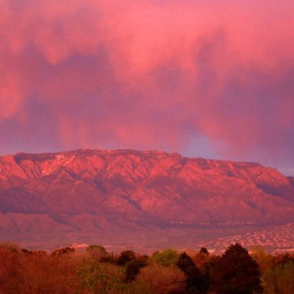 Meet your Posher, Steven - Picture 5 of 16